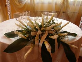 Apparecchiature e Scenografie