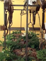 Apparecchiature_e_Scenografie-39